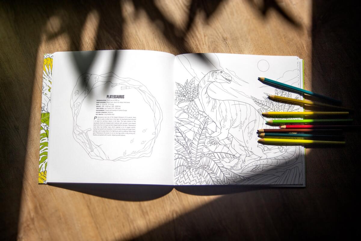 San Diego's IDW Publishing has partnered with the Smithsonian Institution to produce a new line of coloring books.