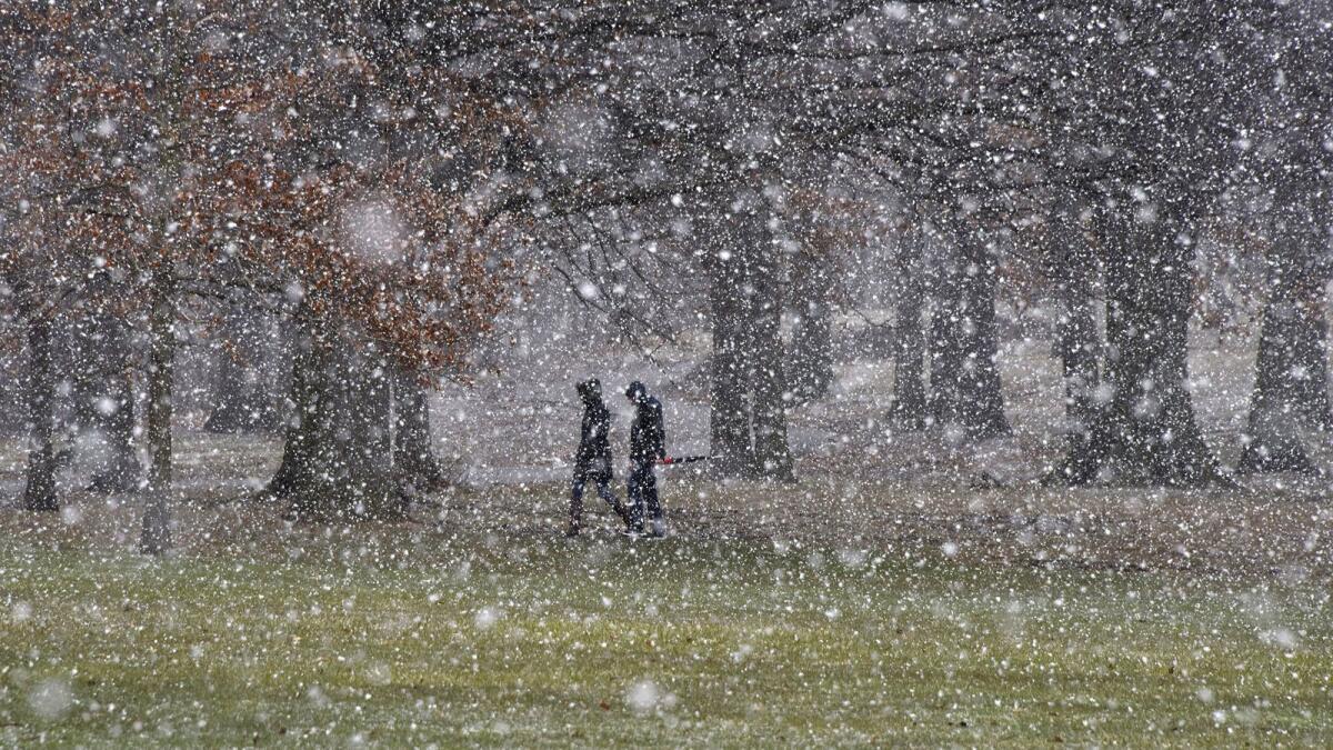 People cross Schenley Park in Pittsburgh as the snow starts to fall Tuesday, March 20, 2018.