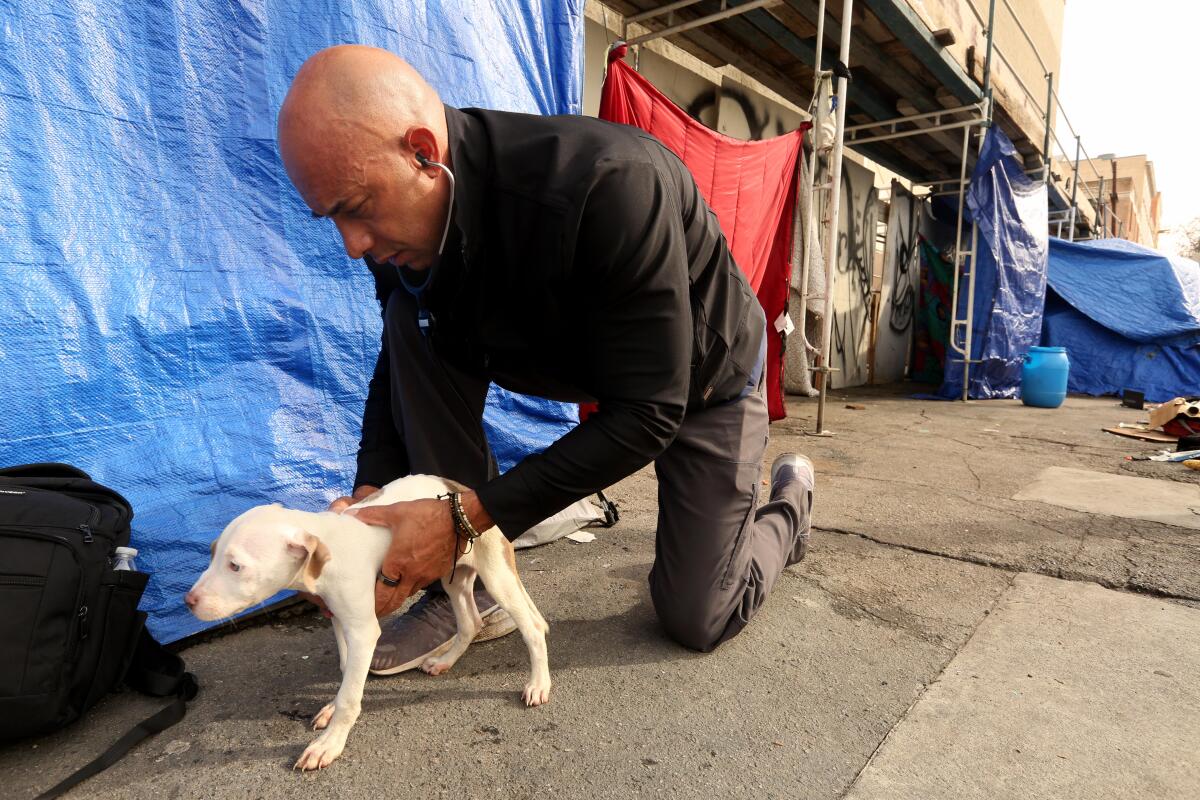 A man with a puppy on a sidewalk near a homeless encampment 