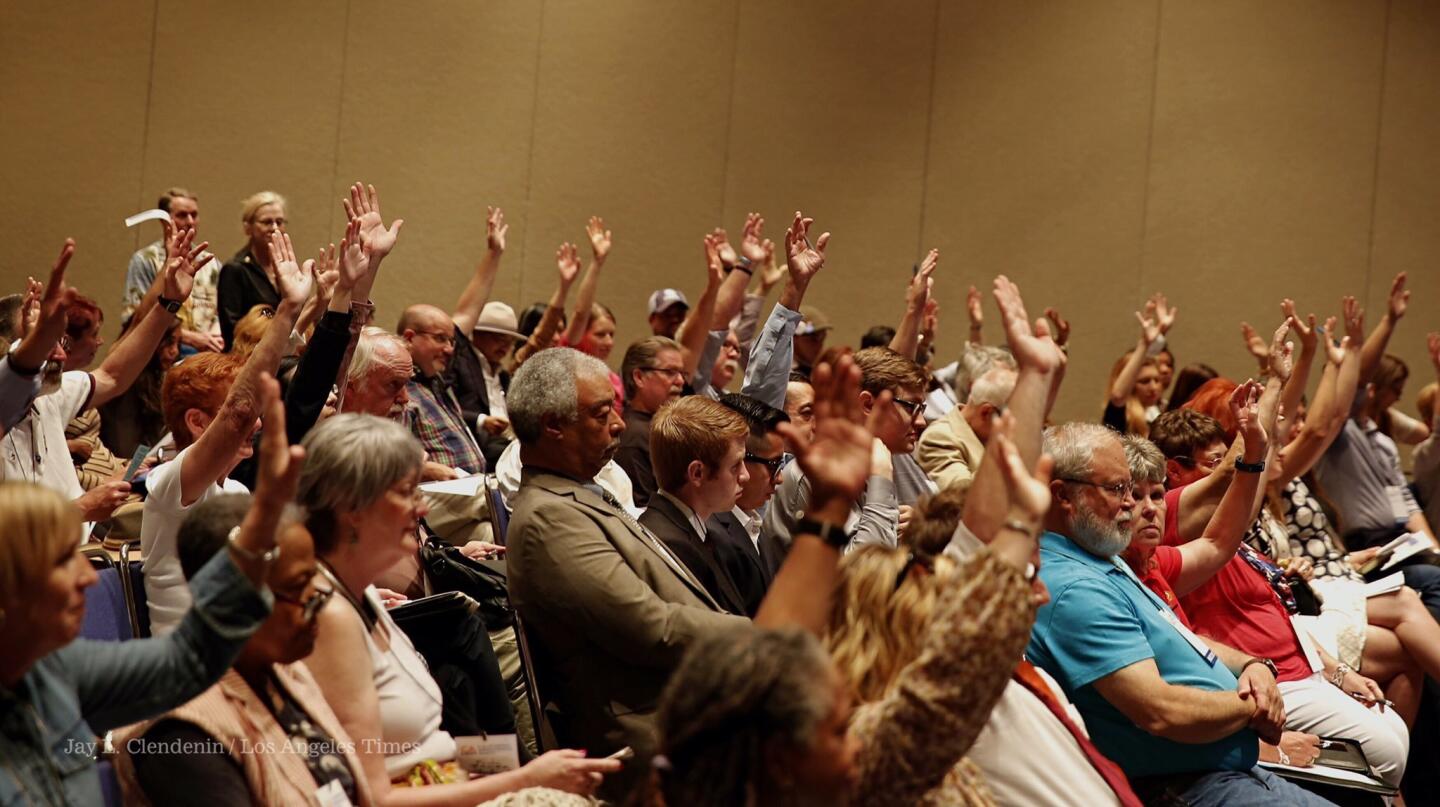 California Democratic Convention