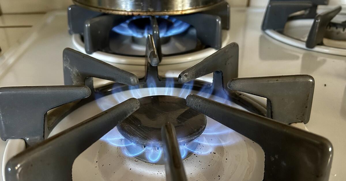 Opinion: Gas stoves are bad for your health. The industry hid it for 50  years - Los Angeles Times