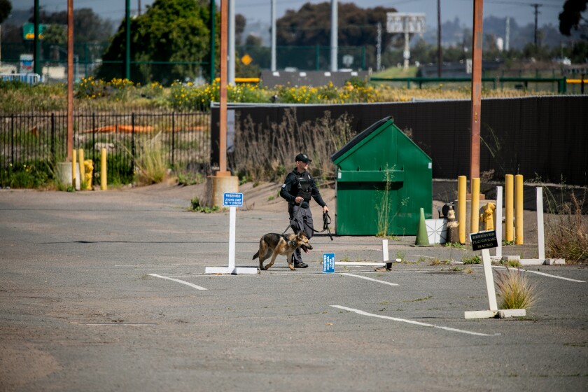 A Navy Police Officer searches with a K-9 for a suspect on Naval Base San Diego
