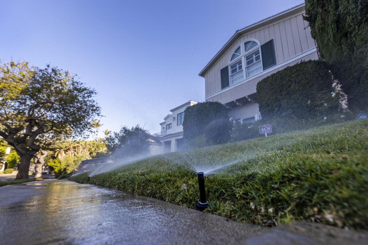 Sprinklers watering a lawn and sidewalk of a 2-story house 