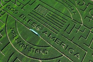 Aerial view of the corn maze at the Cool Patch Pumpkins in Dixon.