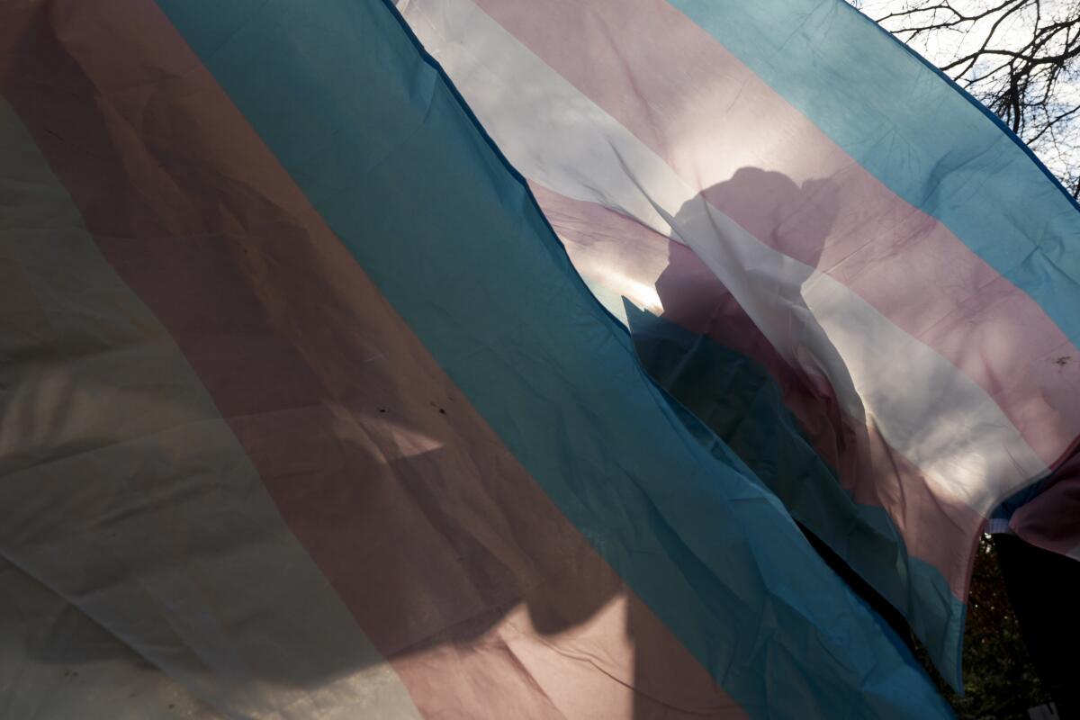 A protester is silhouetted against a pink, blue and white striped trans pride flag.