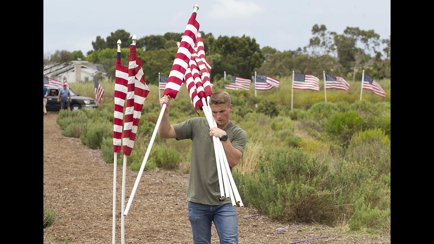 Volunteer Taylor Foutz posts one of 1,776 American flags as he helps set up the Newport Harbor Exchange Club's Field of Honor at Castaways Park on Wednesday. The display recognizes the service of the men and woman of the armed forces.