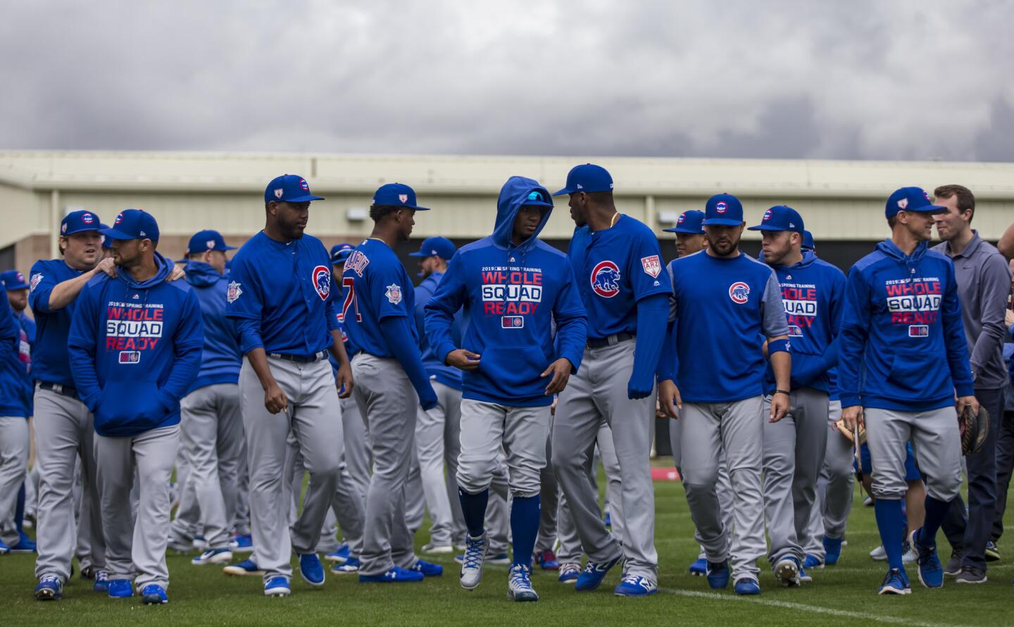 Cubs spring training