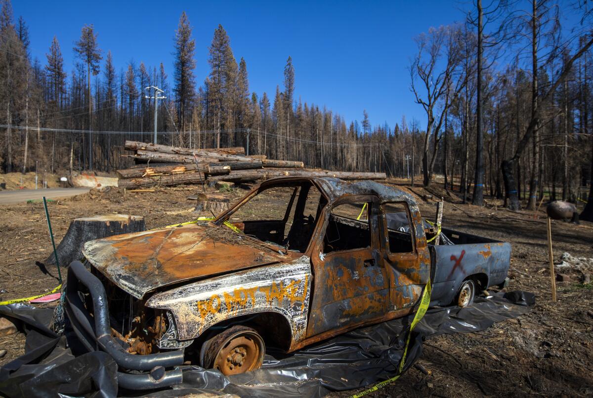 A charred pickup truck and burned trees 