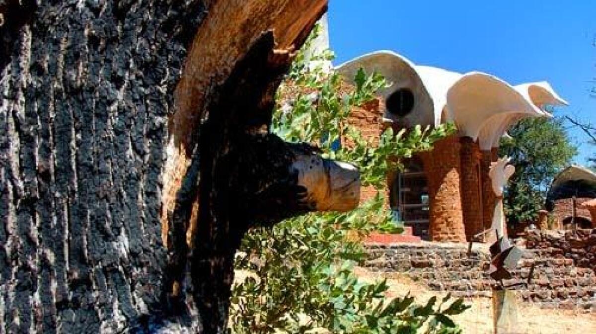 The charred trunk of a tree frames one of the eight structures designed by architect James Hubbell. The San Diego County fires of 2003 gutted four of the Hobbit-like buildings that Anne and James Hubbell have since restored on their 45 acres in Wynola, Calif.