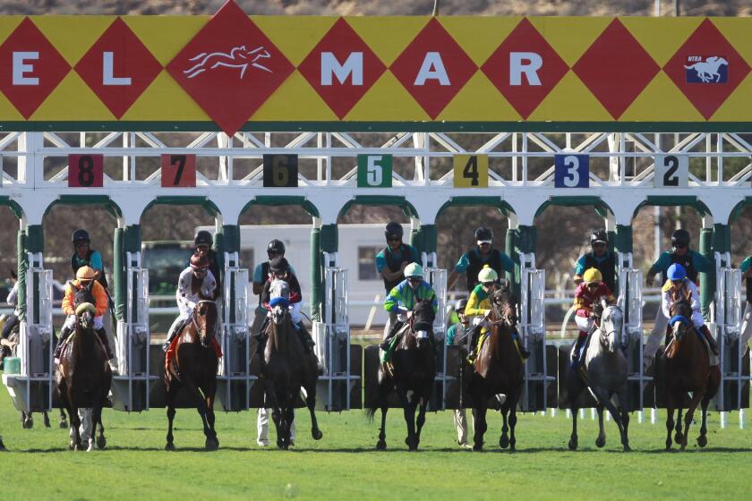DEL MAR, November 9, 2018 | Horses come out of the gates at the start of the third race on opening day of the fall meet at the Del Mar racetrack in Del Mar on Friday. | Photo by Hayne Palmour IV/San Diego Union-Tribune/Mandatory Credit: HAYNE PALMOUR IV/SAN DIEGO UNION-TRIBUNE/ZUMA PRESS San Diego Union-Tribune Photo by Hayne Palmour IV copyright 2018