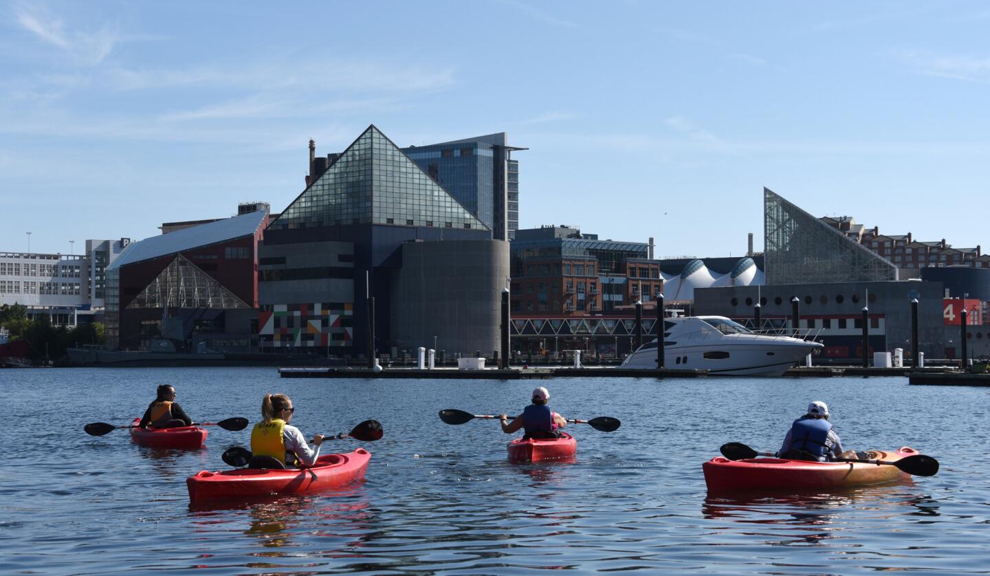 Baltimore Recreation and Parks staff lead a kayak tour of the Inner Harbor this morning. Left to right: Kirsten Perry and Kelsey Hincke (Rec and Parks staff members), Deborah Stuiber of Towson and Jean White of Lutherville.