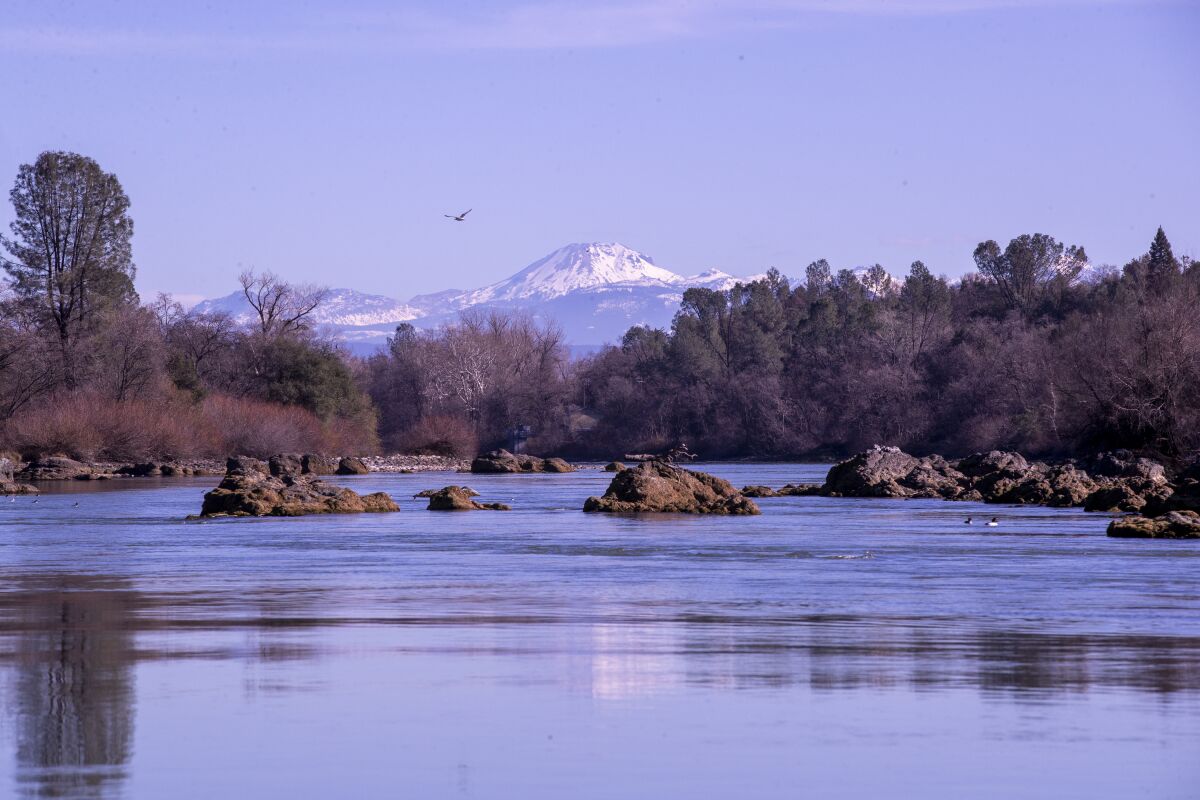 A span of water with a few birds, bare trees on nearby banks and snowy mountains in the background.