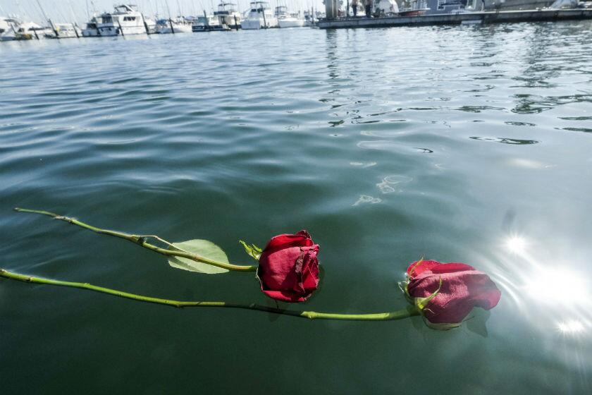 Flowers float on the water near the Sea Landing at Santa Barbara Harbor on Monday.