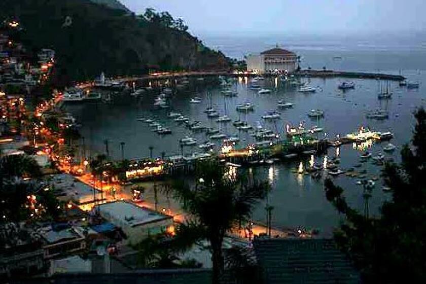 Harbor lights at the break of dawn in Avalon.