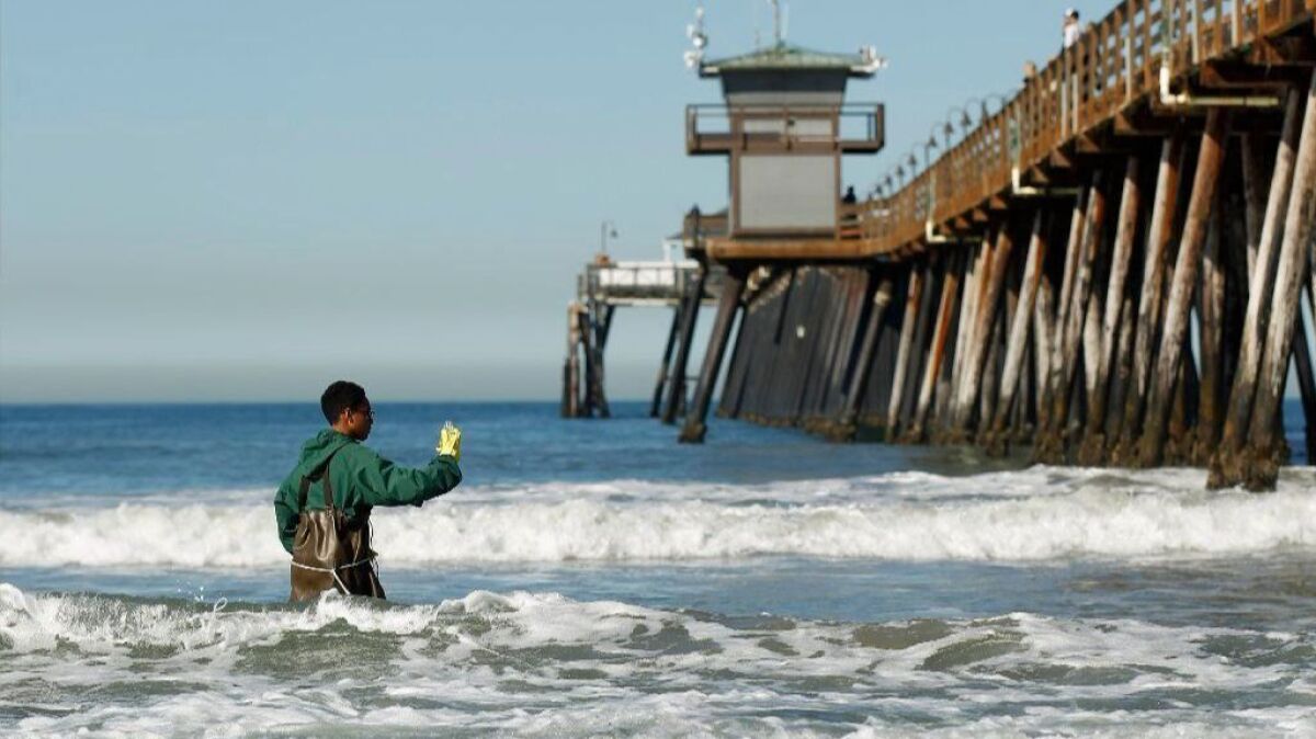 Mar Vista High School sophomore Anthony Gass collects a water sample at the Imperial Beach Pier. The school and the Surfrider Foundation have teamed up to monitor water pollution north of Tijuana.