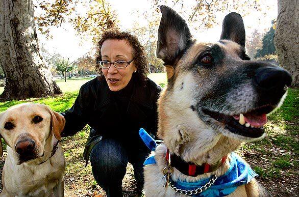 Diane Haithman's German shepherd, Heidi