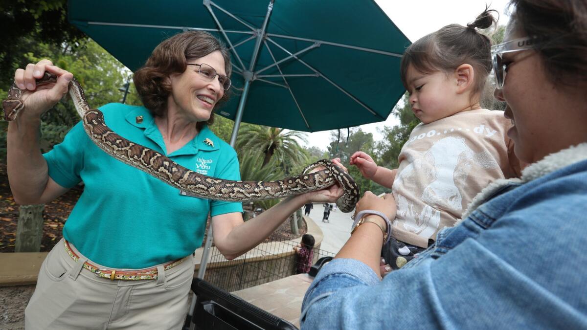 Los Angeles Zoo docent Paula Riggin displays a python to visitors Willow Brown, 1, and her mom, Carolyn Brown, of Tarzana.