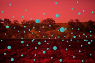 Illustration of spores in front of farmland in Paso Robles as Valley Fever, a fungal infection that spreads through dust, has increased in frequency and expanding in geography in the Central Valley on Tuesday, March 22, 2022 in Paso Robles, CA. (Illustration by Jim Cooke / Los Angeles Times, Photo by Jason Armond / Los Angeles Times)