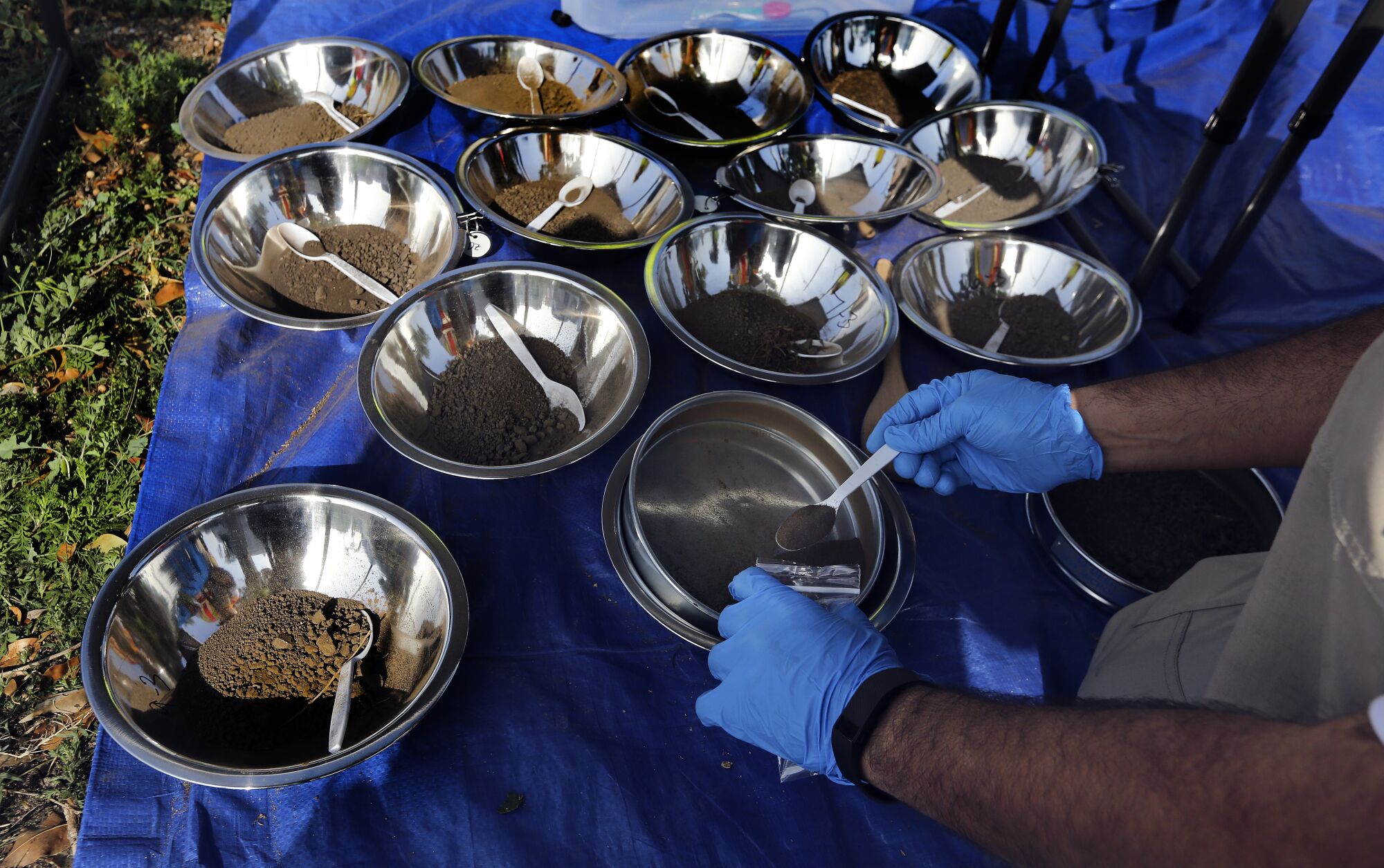 A dozen silver bowls containing dirt are arranged on a table as a worker spoons soil from one bowl into a jar.