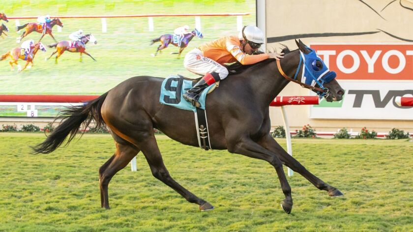 Cordiality and jockey Tyler Baze win the $150,000 Solana Beach Stakes on Friday at the Del Mar Thoroughbred Club.
