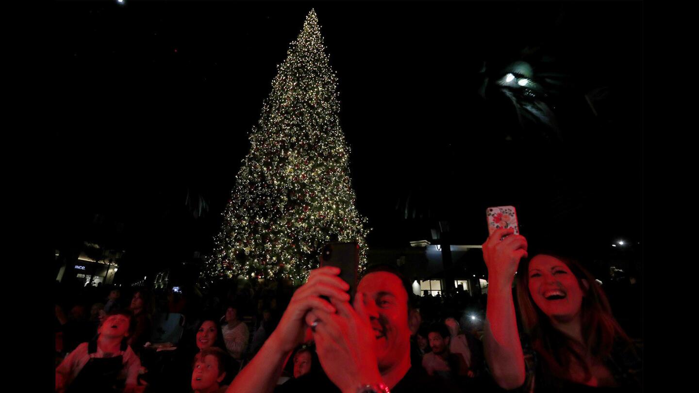 Photo Gallery: Fashion Island annual tree-lighting ceremony