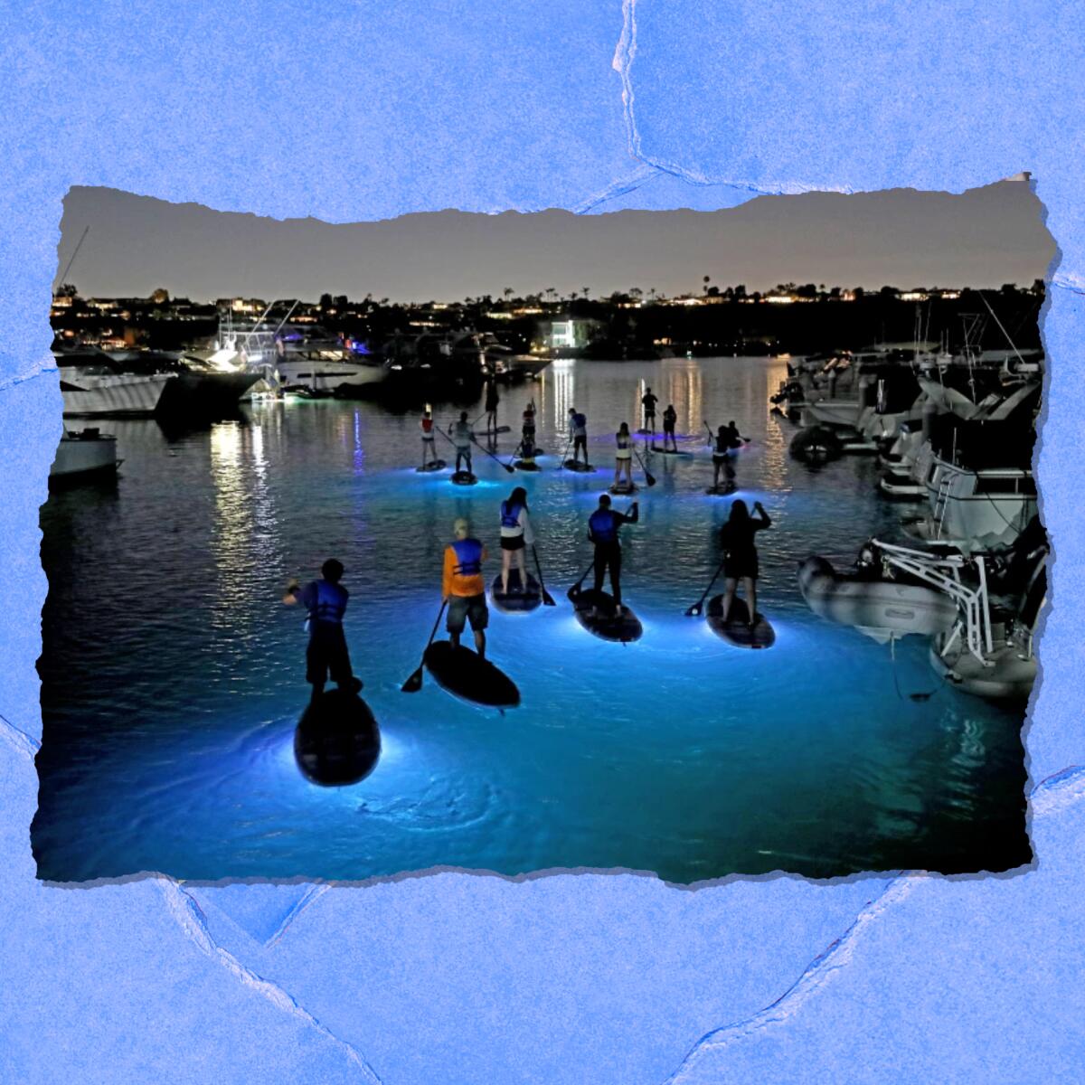 People row on paddleboards that are lighted up from beneath.