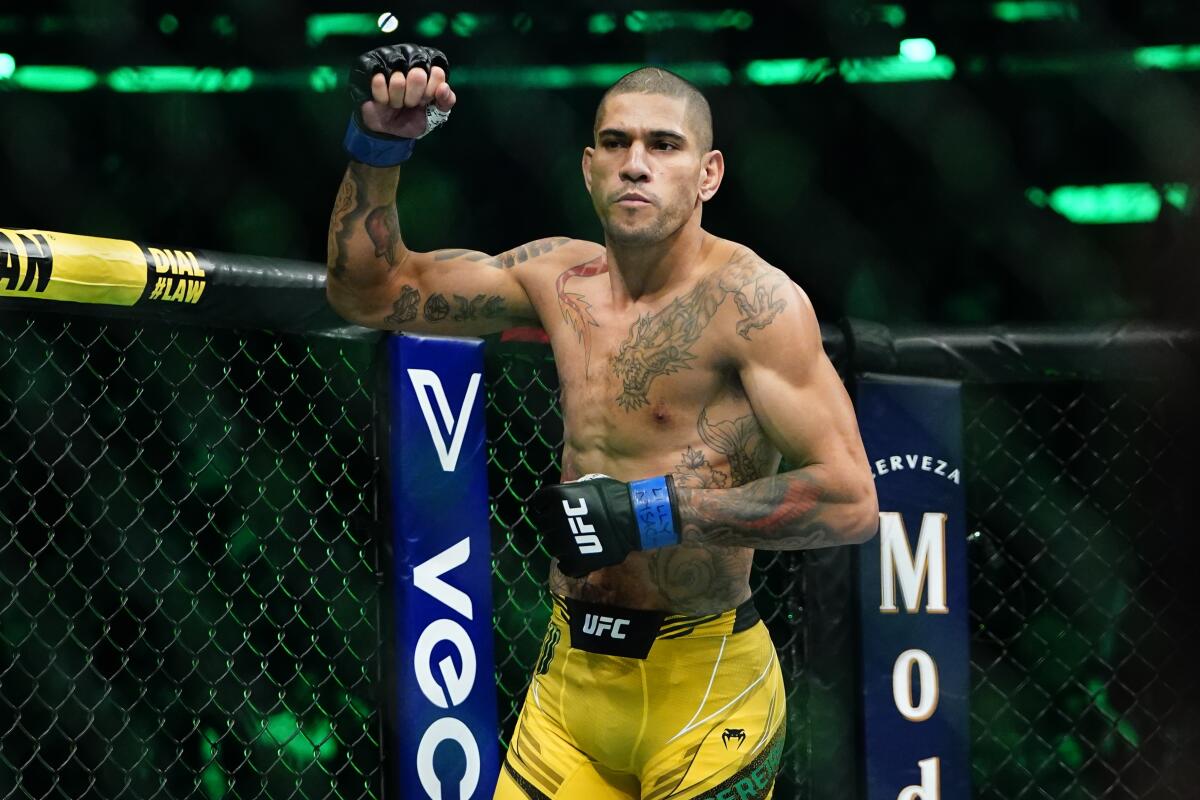 Top 10 Brazilian Fighters in UFC and MMA History 