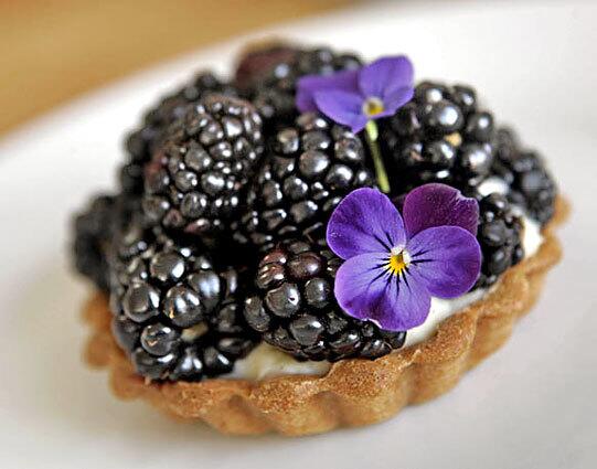 A blackberry fruit tart at Huckleberry in Santa Monica.