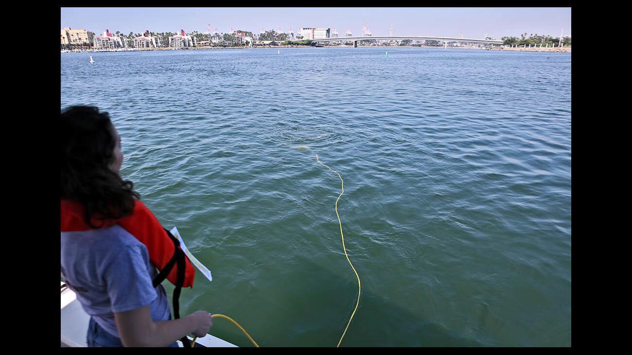 Photo Gallery: Clark Magnet High School Environmental Geographic Information Science students do research at the mouth of the L.A. River