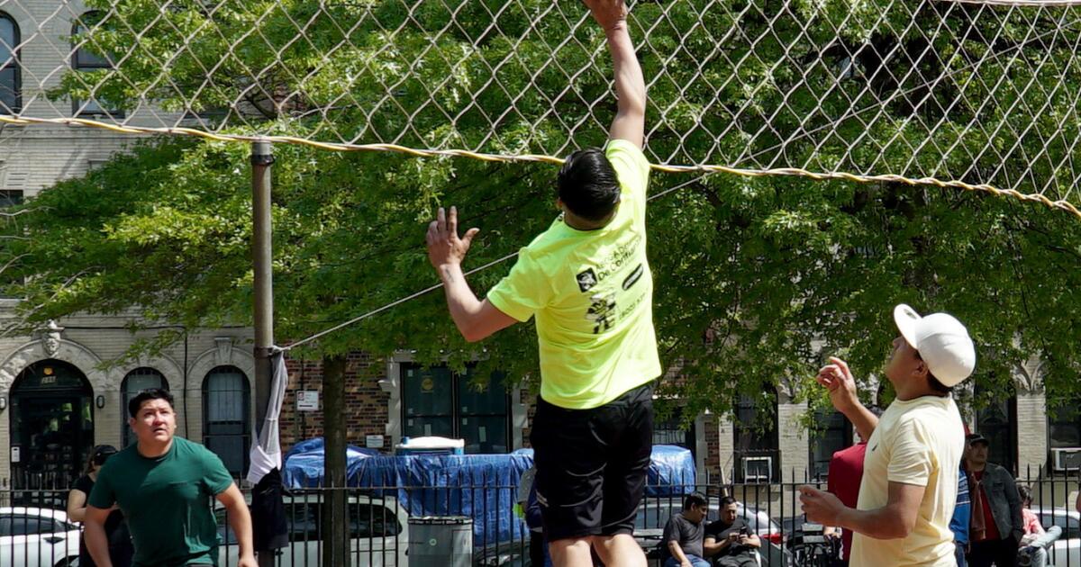 Cómo instalar una red de voleibol: 14 Pasos