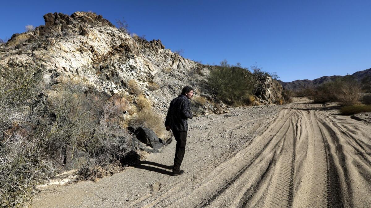 Tom Egan, California desert representative for the nonprofit Defenders of Wildlife, walks along a wash marked by off-road vehicle activities at Chuckwalla Bench.