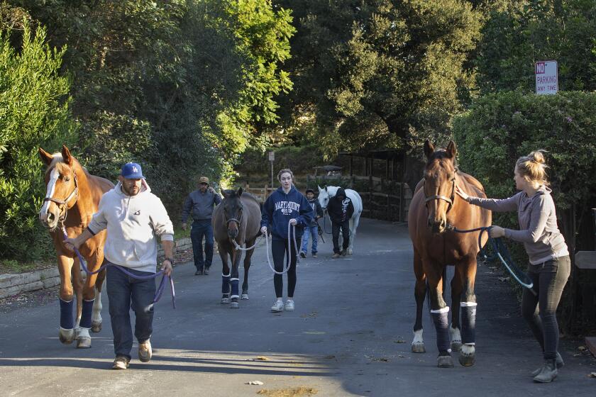 BRENTWOOD, CA-OCTOBER 28, 2019: Barn manager Stephanie Nagler,right, helps evacuate around 120 horses from the Sullivan Canyon Equastrian Community, located near the intersection of Riviera Ranch Rd. and Sunset Blvd. in Brentwood. The horses were loaded onto horse trailers and taken to Hansen Dam. The Getty fire broke out before 2a.m. along the 405 freeway near the Getty Center and spread to the south and west, rapidly burning 400 acres. (Mel Melcon/Los Angeles Times)