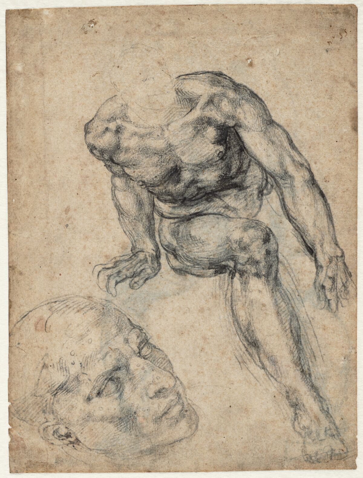 Michelangelo, "Male Nude; Separate Study of His Head," circa 1537-38, black chalk.