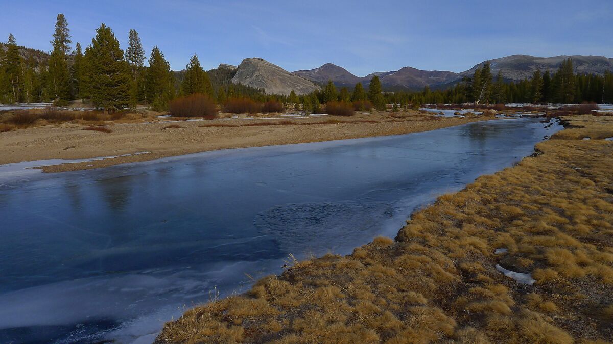 The Tuolumne River in Yosemite National Park in January, when the landscape would typically be covered by snow.