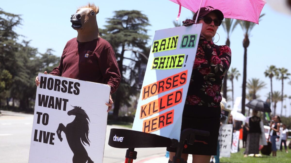 Robert Penney, 48, of Laguna Beach dons a horse mask while joining animal rights activists during a protest Sunday at Santa Anita Park.
