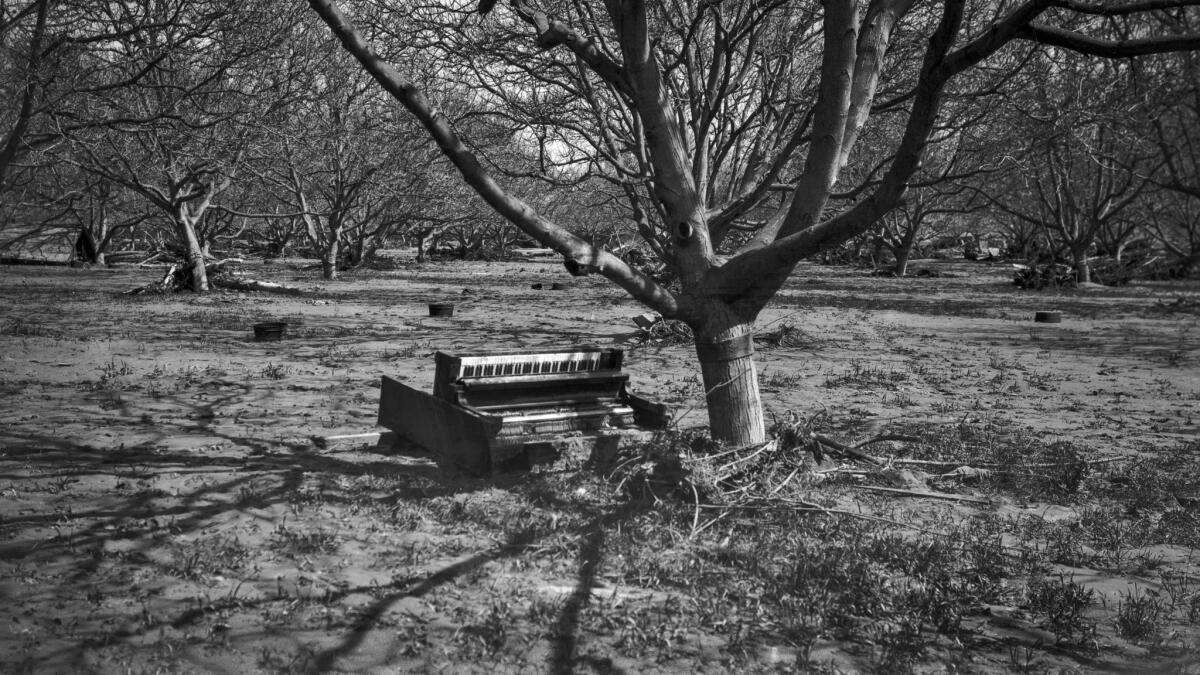 March 1928: A battered piano was found in an orchard following the flood caused by the failure of the St. Francis Dam.
