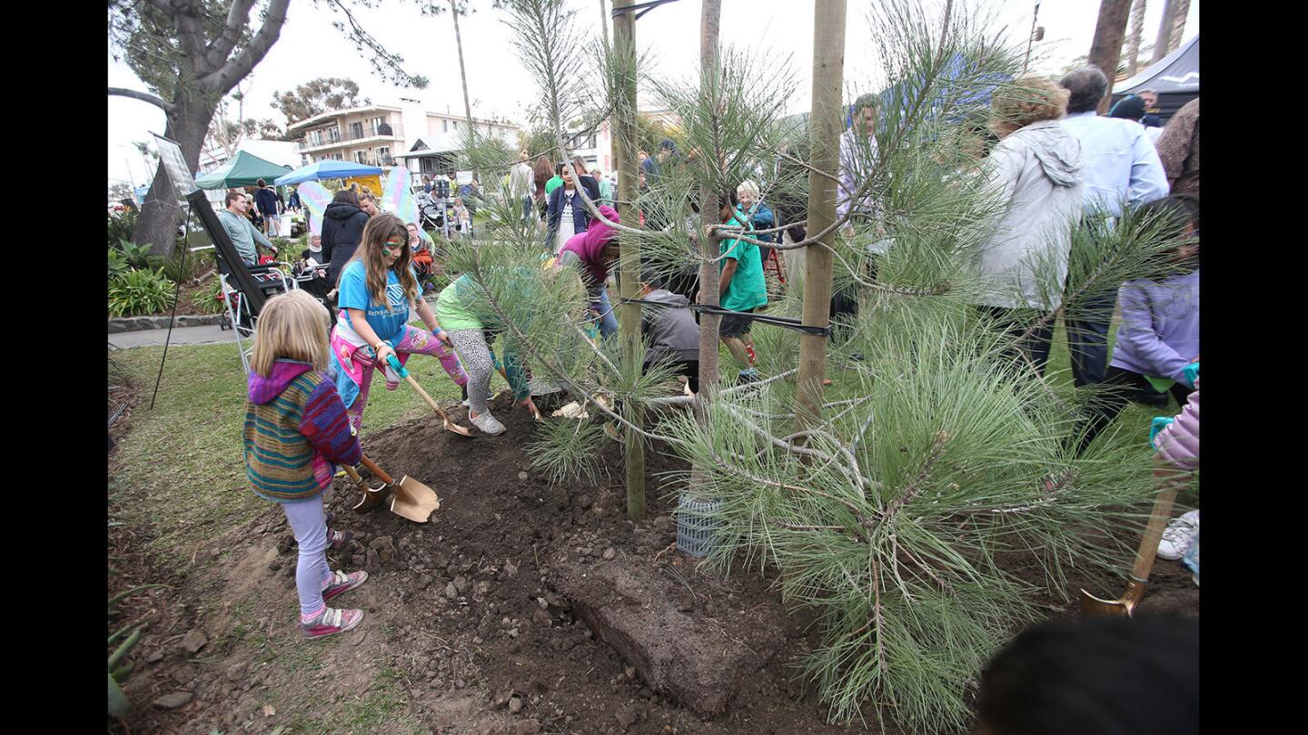 Laguna celebrates Arbor Day with tree planting
