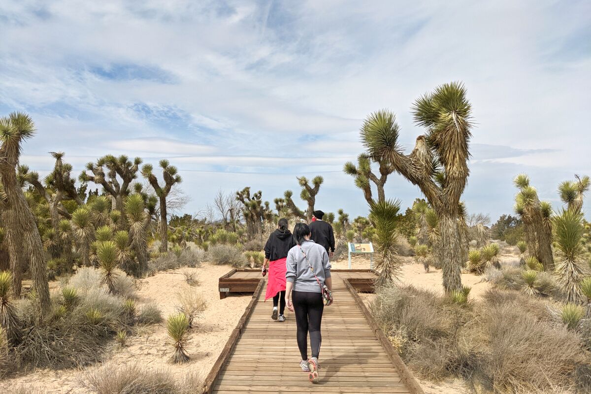 People do the Prime Desert Woodland Preserve