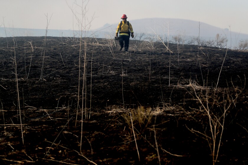 A firefighter walks across a blackened hillside.