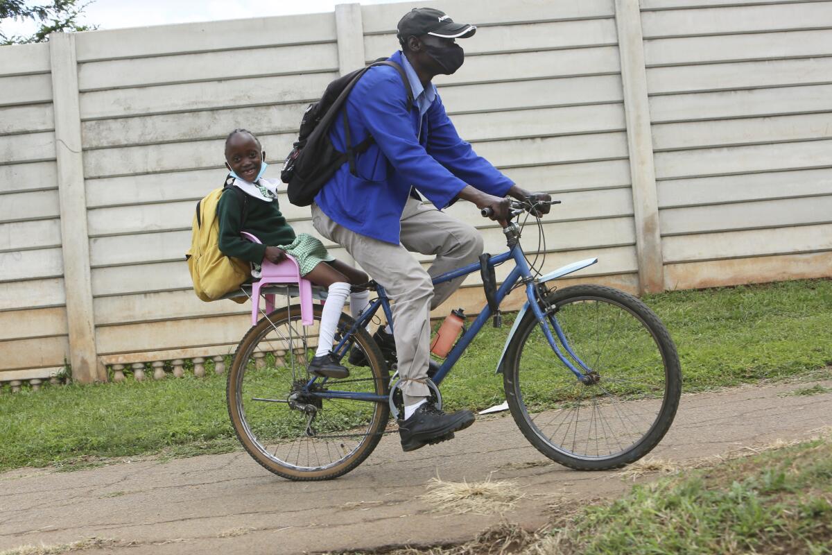 A parent transports his child to school using a bicycle in Harare, Zimbabwe, Wednesday, Feb, 9, 2022. A pay strike by teachers has paralyzed learning at many Zimbabwean schools, which belatedly opened on Monday after a pandemic-induced prolonged closure. (AP Photo/Tsvangirayi Mukwazhi)