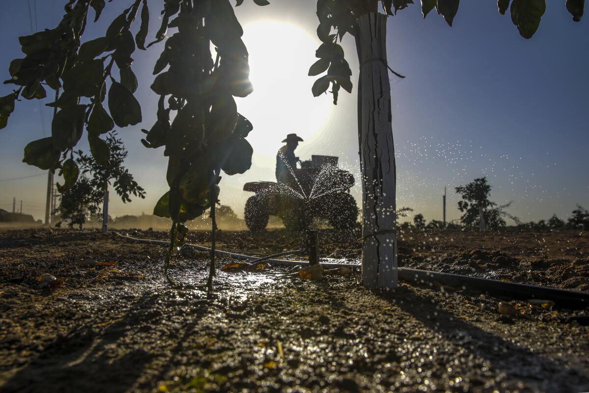 Sprinklers are seen on a farm