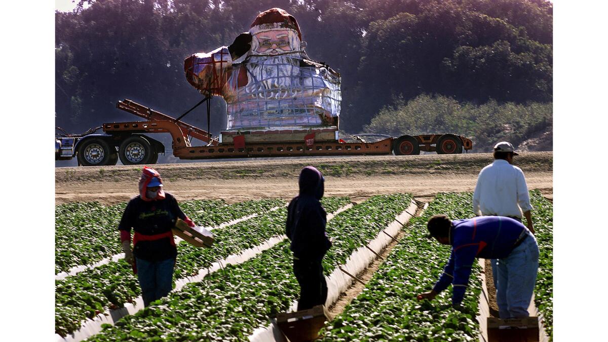 Jan. 29, 2003: Workers in a strawberry field in Oxnard stop to watch as the giant Santa, swaddled in shrink wrap and duct tape, travels past on Gonzales Road en route to his new home.