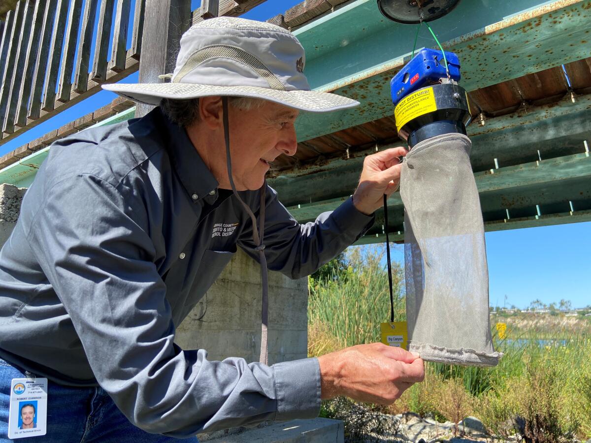 Robert Cummings collects mosquitoes from a trap at Big Canyon in Newport Beach.