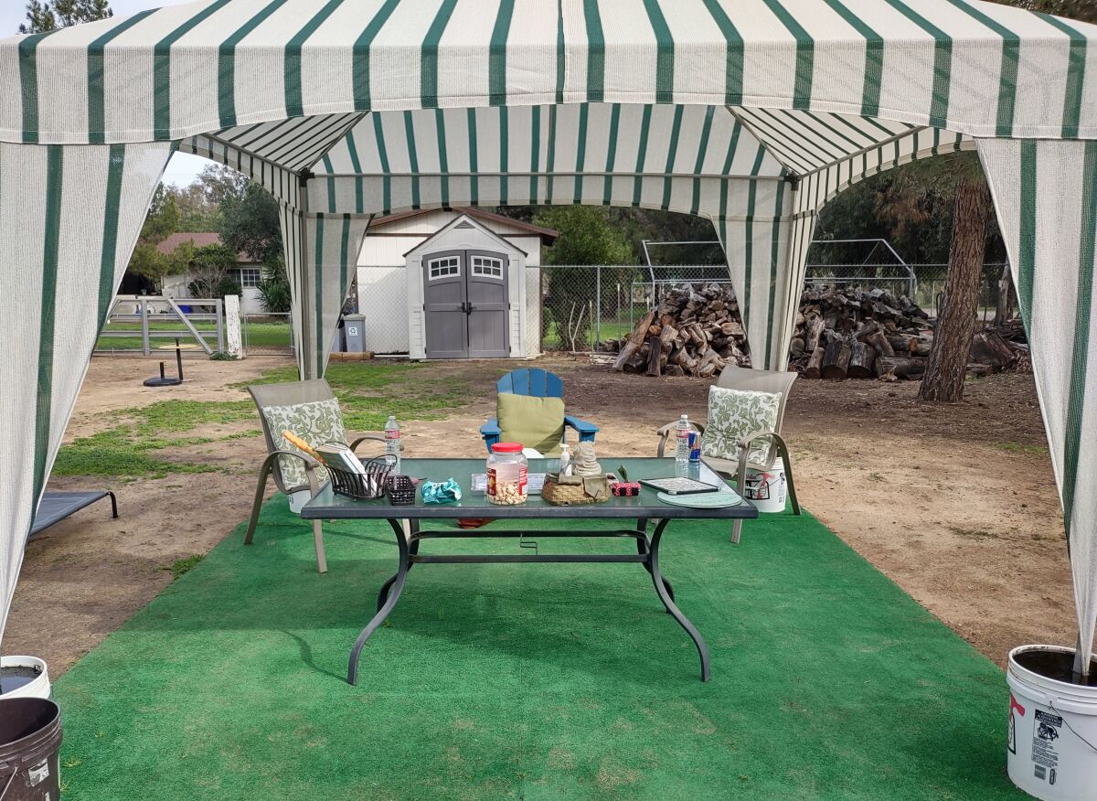 Dog treats and handkerchiefs are some of the extra amenities available to dog owners who can relax under a shaded patio table.