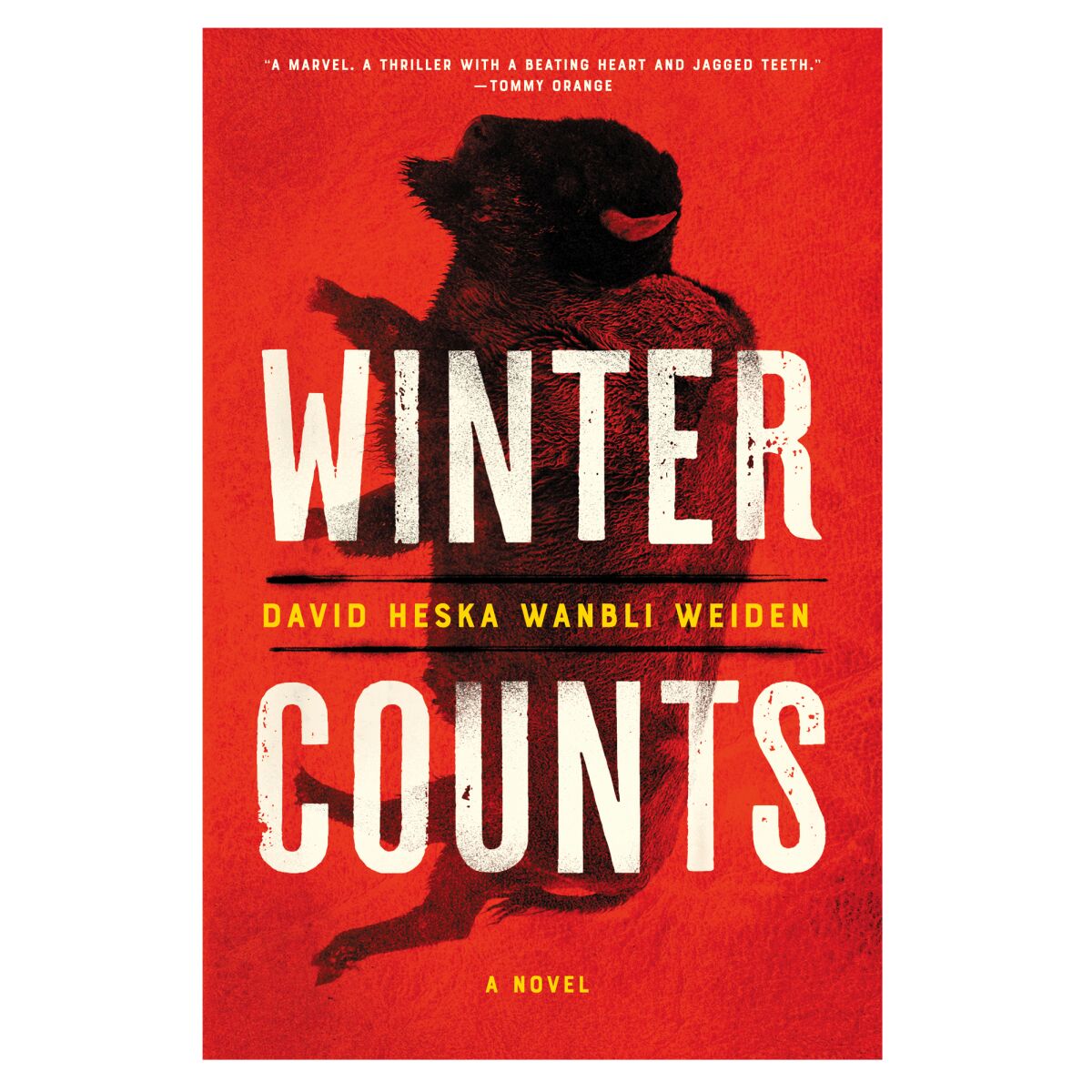 HOLIDAY GIFT GUIDE - Cover of the book Winter Counts: A Novel by David Heska Wanbli Weiden.