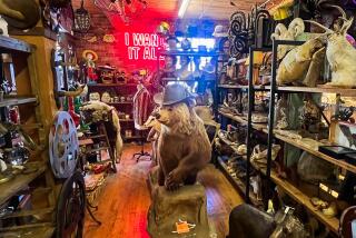 An assemblage of props, including a bear in a top hat. 