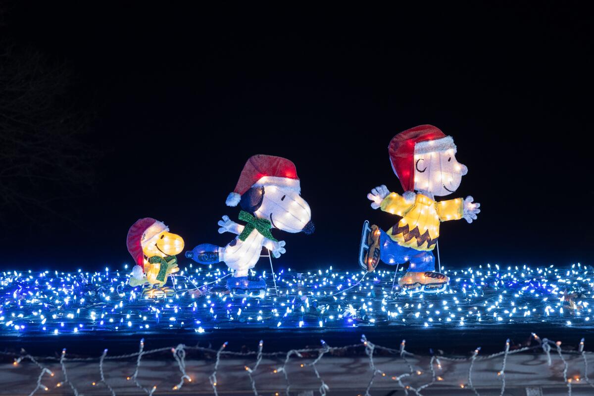 Charlie Brown Christmas lights.