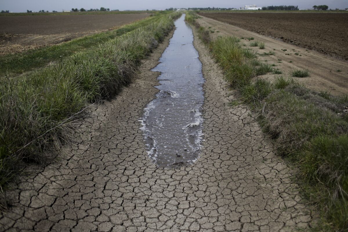 Irrigation water runs along a dried-up ditch to provide water for the rice fields in Richvale, Calif.
