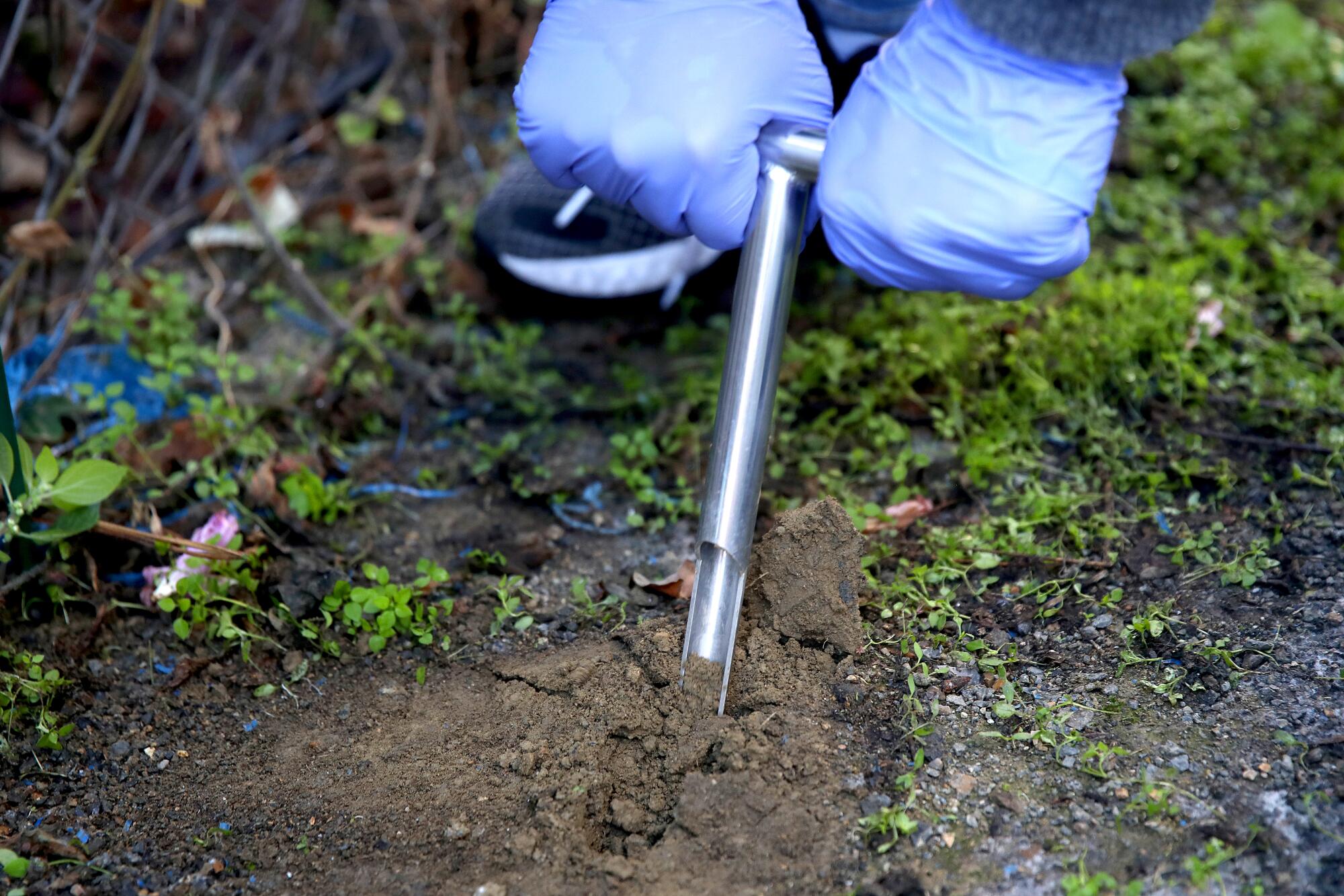 A person wearing protective gloves uses a tool to remove soil from the ground.