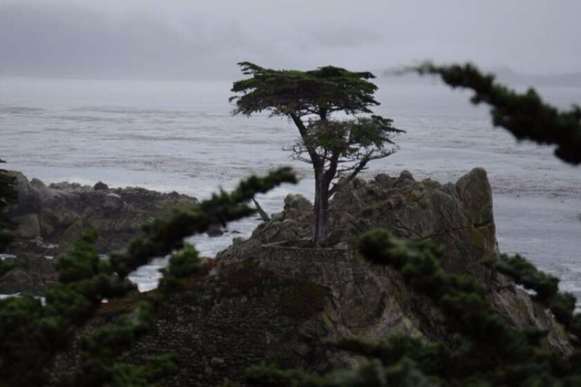 The California Coastal Commission is in charge of protecting 1,100 miles of shoreline, where land meets the Pacific.